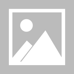 乐博体育-【夜读】三场丢17球，耻辱！“铿锵玫瑰”被打蔫了